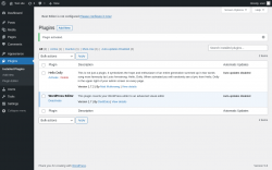 Page screenshot: Plugins &lsaquo; Test site &mdash; WordPress