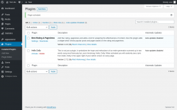 Page screenshot: Plugins &lsaquo; Test site &mdash; WordPress