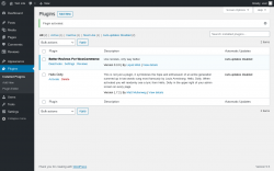 Page screenshot: Plugins &lsaquo; Test site &mdash; WordPress