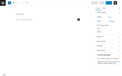 Page screenshot: Add New Page ‹ Test site — WordPress