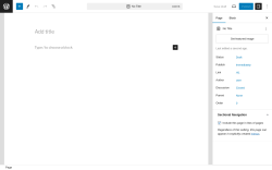 Page screenshot: Add New Page ‹ Test site — WordPress
