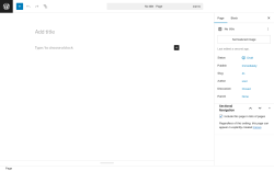 Page screenshot: Add Page ‹ Test site — WordPress