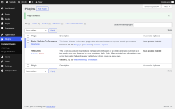 Page screenshot: Plugins &lsaquo; Test site &mdash; WordPress