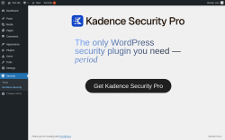 Page screenshot: Security &rarr; Get More Security