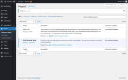 Page screenshot: Plugins &lsaquo; Test site &mdash; WordPress
