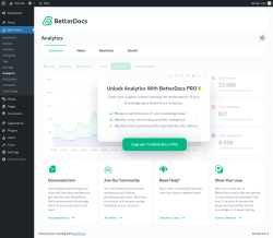 Page screenshot: BetterDocs → Analytics