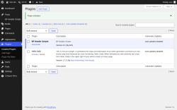 Page screenshot: Plugins &lsaquo; Test site &mdash; WordPress