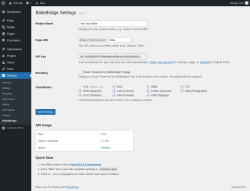 Page screenshot: Settings &rarr; BibleBridge