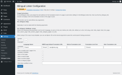 Page screenshot: Settings → Bilingual Linker