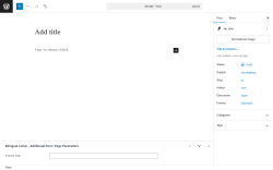 Page screenshot: Add Post ‹ Test site — WordPress