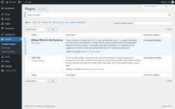 Page screenshot: Plugins ‹ Test site — WordPress