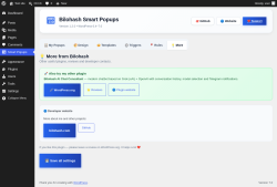Page screenshot: Smart Popups &rarr; 💡 More