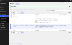 Page screenshot: Plugins &lsaquo; Test site &mdash; WordPress