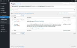 Page screenshot: Plugins &lsaquo; Test site &mdash; WordPress