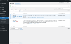 Page screenshot: Plugins ‹ Test site — WordPress