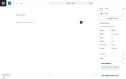 Page screenshot: Add Post &lsaquo; Test site &mdash; WordPress