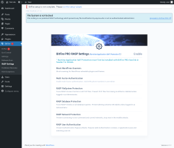 Page screenshot: BitFire  &rarr; RASP Settings
