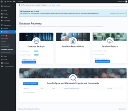 Page screenshot: BitFire  &rarr; Database Recovery