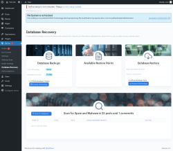 Page screenshot: BitFire  &rarr; Database Recovery
