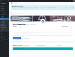 Page screenshot: BitFire  &rarr; Malware Scan
