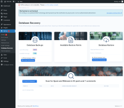 Page screenshot: BitFire  &rarr; Database Recovery