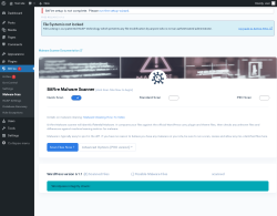Page screenshot: BitFire  &rarr; Malware Scan