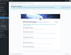 Page screenshot: BitFire  &rarr; RASP Settings