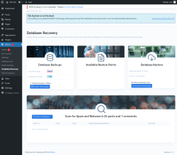 Page screenshot: BitFire  &rarr; Database Recovery