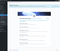 Page screenshot: BitFire  &rarr; RASP Settings