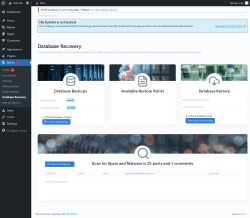 Page screenshot: BitFire  &rarr; Database Recovery