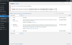 Page screenshot: Plugins &lsaquo; Test site &mdash; WordPress