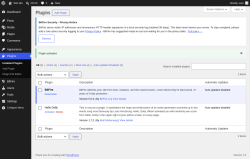 Page screenshot: Plugins &lsaquo; Test site &mdash; WordPress