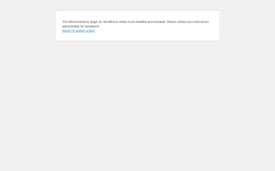 Page screenshot: WordPress › Error