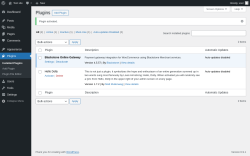 Page screenshot: Plugins &lsaquo; Test site &mdash; WordPress