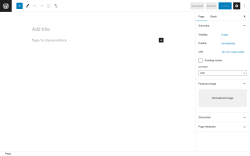 Page screenshot: Add New Page ‹ Test site — WordPress