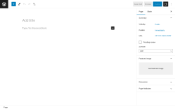 Page screenshot: Add New Page ‹ Test site — WordPress