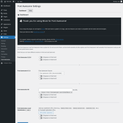 Page screenshot: Settings → Font Awesome
