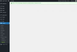 Page screenshot: Settings &rarr; Upgrade&nbsp;&nbsp;➤
