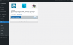 Page screenshot: Blocked In China Options &lsaquo; Test site &mdash; WordPress