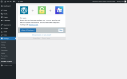 Page screenshot: Blocked In China Options &lsaquo; Test site &mdash; WordPress