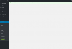 Page screenshot: Settings &rarr; Upgrade&nbsp;&nbsp;➤
