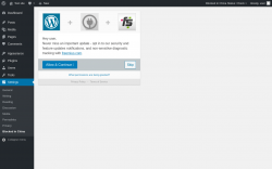 Page screenshot: Blocked In China Options &lsaquo; Test site &mdash; WordPress