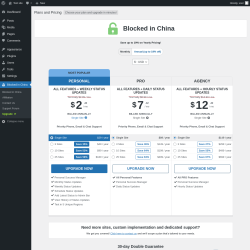 Page screenshot: Blocked in China &rarr; Upgrade&nbsp;&nbsp;➤
