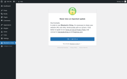 Page screenshot: Blocked in China &lsaquo; Test site &mdash; WordPress