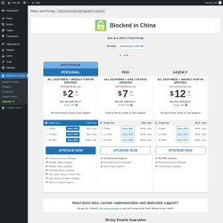 Page screenshot: Blocked in China &rarr; Upgrade&nbsp;&nbsp;➤