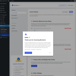 Page screenshot: Blockera → General Settings