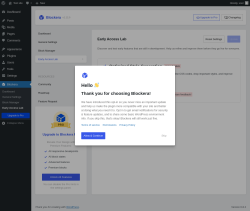Page screenshot: Blockera → Early Access Lab