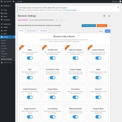 Page screenshot: Settings → Blockons Settings