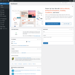Page screenshot: Dashboard &lsaquo; Test site &mdash; WordPress