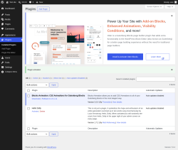 Page screenshot: Plugins &lsaquo; Test site &mdash; WordPress